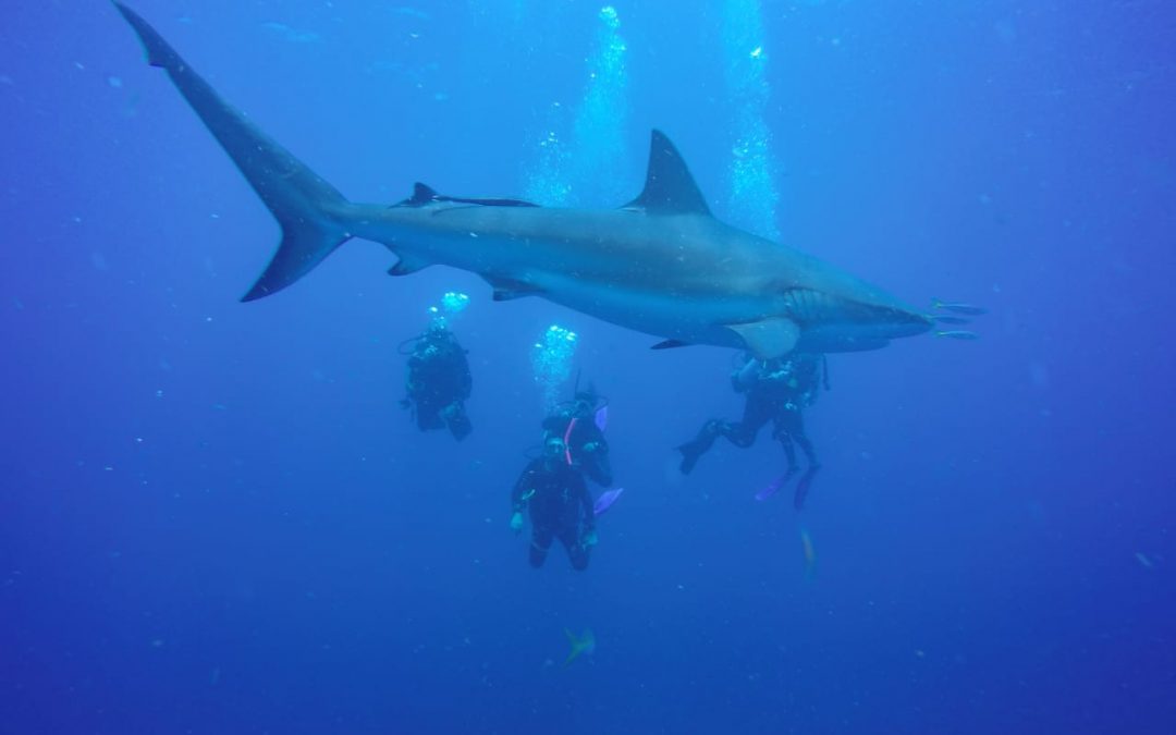 La Paz, Baja California (México)